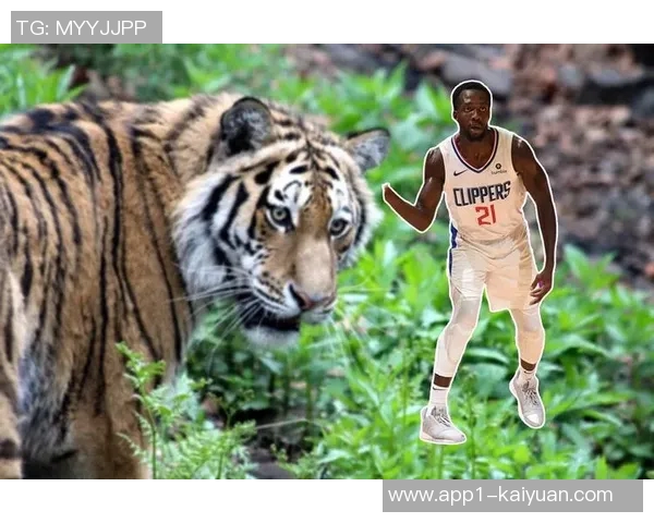 迪班萨潜力无限但需提升专注力三分球和控球节奏