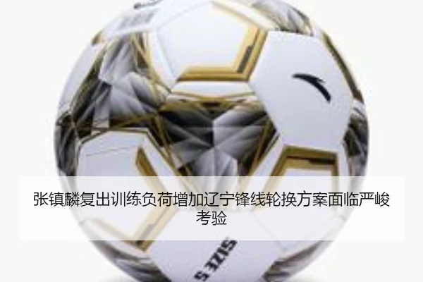 张镇麟复出训练负荷增加辽宁锋线轮换方案面临严峻考验